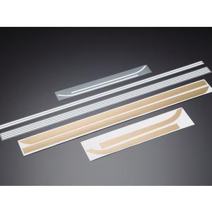 TKRJ ティーケーアールジェイ ピストンキット サイズ：0.25mm TDR250