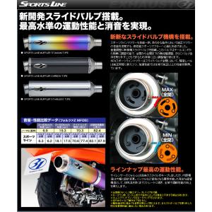 31 スリーワン スポーツライン ショートマフラー SKYWAVE 250