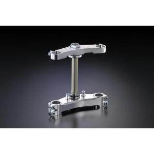 TTS RACING ツルノテクニカルサービス ステムキット NSF100 HONDA ホンダ トリ...