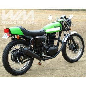 WM ダブルエム(ウェリントン) KHルック テールカウル COMP KAWASAKI 250TR｜webike02