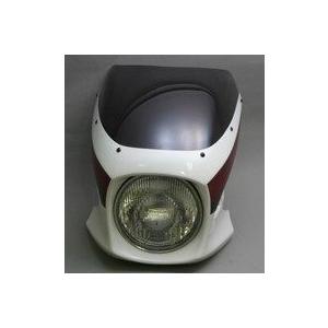 A-TECH エーテック ビキニカウルスペシャ...の詳細画像1