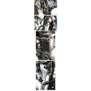 BABYFACE ベビーフェイス [IDEAL] フレームスライダー XR1200 HARLEY-D...