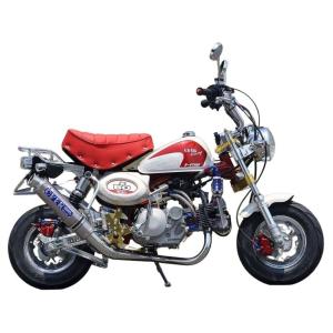AKRAPOVIC（アクラポビッチ） レーシングライン チタン BMW S1000RR 19