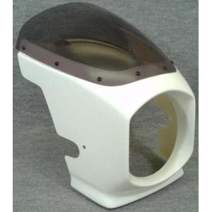 ワールドウォーク（WORLD WARK） ゼファー1100 ビキニカウル DS-01