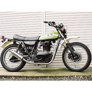 WM（ダブルエム） KHルック テールカウル COMP 250TR KAWASAKI