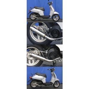 WirusWin ウイルズウィン ロッドサイレンサーマフラー ディオ(4サイクル) トゥデイ HONDA ホンダ HONDA ホンダ HONDA ホンダ HONDA ホンダ｜webike02