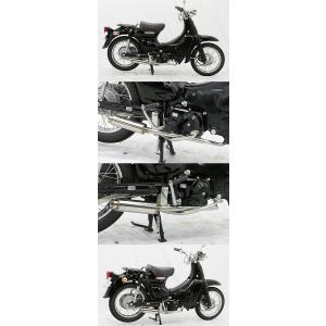 WirusWin ウイルズウィン ロッドダウンショートマフラー