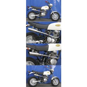 WirusWin（ウイルズウィン） シャープマフラー エイプ100 HONDA ホンダ