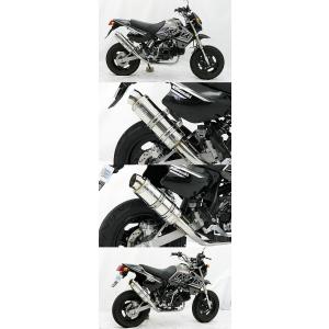 KSR110 Realize バイクマフラー カワサキ　Kawasaki 最安値 REALIZE（リアライズ） リアライズマフラー EMPLESSエンプレス チタン