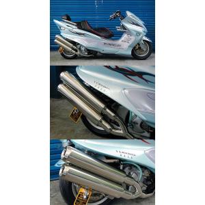 WirusWin ウイルズウィン スタイリッシュツインマフラー
