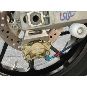 Ladybird レディバード ブレンボリアキャリパー＆ステーキット カラー：金 ZX-12R KA...