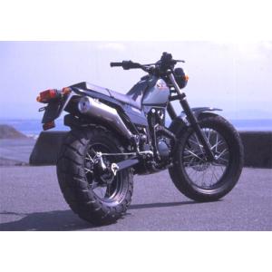 PRO SKILL プロスキル エンデューロサイレンサー Dトラッカー KLX250SR