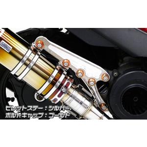 KN企画 ケイエヌキカク サイレントストリートマフラー アドレスV125