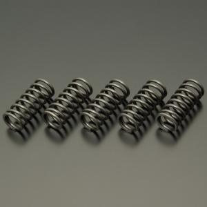 KIWAMI クラッチディスクセット (8枚) FOR カワサキ K-VN800