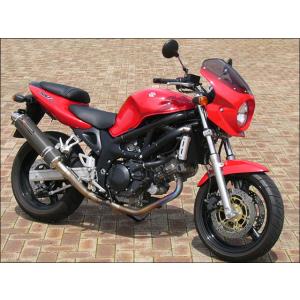 CHIC DESIGN（シックデザイン） ティーラ ロケットヘッドカウル カラー