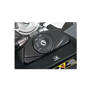 COERCE（コワース） フェンダーレスキット イナズマ1200(GSX1200FS