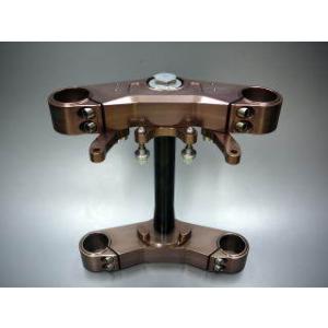 BORE ACE ボアエース スペシャルステムキット (スタンダードΦ35mmフォーク対応) SR4...