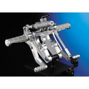 COERCE コワース フェンダーレスキット イナズマ1200(GSX1200FS