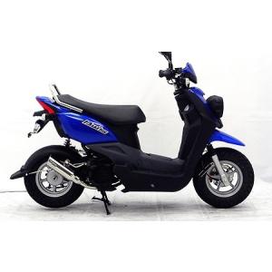 WirusWin（ウイルズウィン） BWS50用 テイストマフラー BWS(ビーウィズ