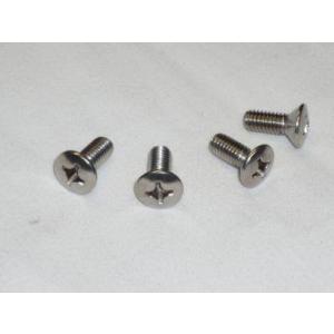 Cuby カビィ デメキンウィンカー・ベース用ステンレスボルトセット CHALY [シャリー] DA...