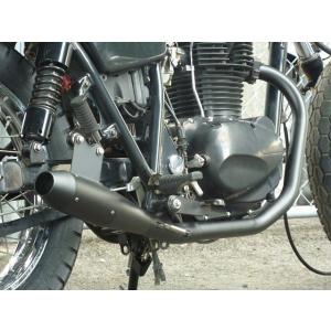 WM ダブルエム KHルック テールカウル COMP 250TR KAWASAKI