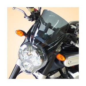 トリシティ専用ルーフキットSLRのワイドバイザー Comforty（コン