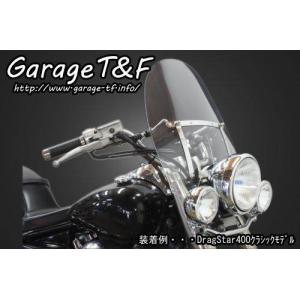 Garage T＆F ガレージ フェアリングカウル(Ver1) シールドカラー