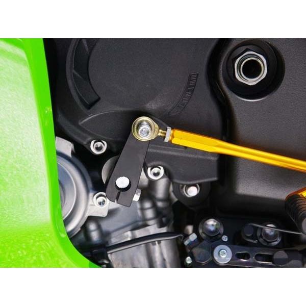 BABYFACE ベビーフェイス リバースキット ZX-10R KAWASAKI カワサキ その他ス...