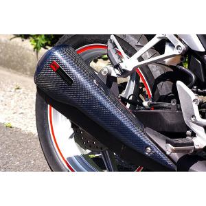 WestPower（ウエストパワー） レーシングマフラーVer.2.5 GSX-R125 GSX