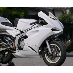 EIGHT(才谷屋) エイト(サイタニヤ) フルカウル NSR50 NSR80 HONDA