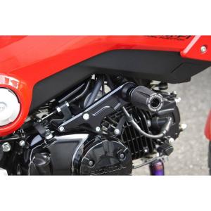 Wunderlich ワンダーリッヒRnineT用エアインテークガード ワンダーリッヒ RnineT エアインテークガード