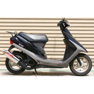 SPI（スペシャル・パーツ・イハラ） VIPER 180(ヴァイパー ワン