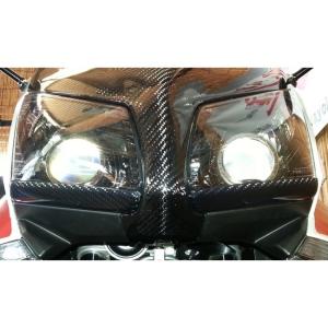 POSH Faith ZZR1100（D型） カウル・エアロ マッスルラインハーフ