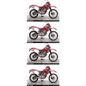 WirusWin ウイルズウィン XR250用スリップオンマフラー タイプ：スポーツタイプ / ノー...