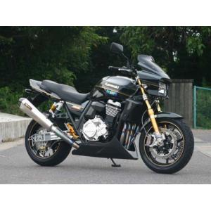 ティガ　アンダーカウル　ストライカー　 　ZRX1200 ダエグ用 STRIKER (ストライカー) エアロデザイン アンダーカウル 黒ゲル