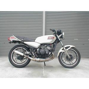 ミズノモーター　RZ250 ステンレス　クロスチャンバー MIZUNO MOTOR ミズノモーター 【ゼス】RZ250/350用 輪切り