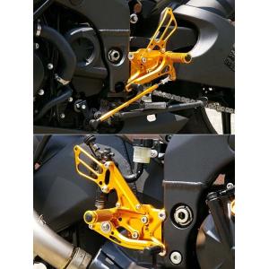 BABYFACE ベビーフェイス [IDEAL]バックステップ カラー：シルバー ZX-10R KA...