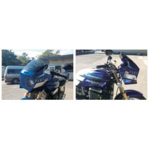 カワサキ ZRX1200R DAEG ダエグ 1100 400 後期 スクリーン ライト