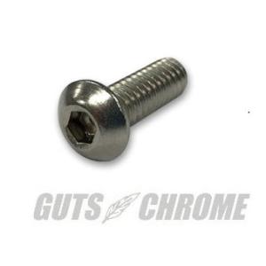 GUTS CHROME ガッツクローム ダービー/インスペクションカバースクリュー 1/4-20×3...