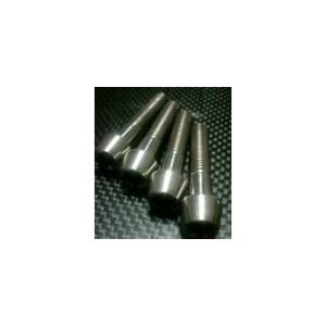 TITANIUM64 チタニウムロクジュウヨン フロントアクスルピンチボルト ZX-10R KAWA...