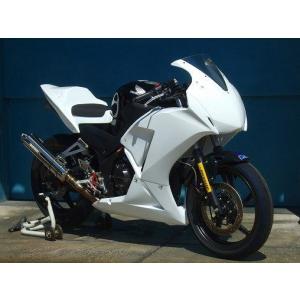 CLEVER WOLF クレバーウルフ フルカウル CBR250R HONDA ホンダ