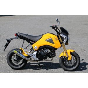 BEAMS（ビームス） BEAMS R-EVO ステンレス グロム 2016〜 EBJ-JC61