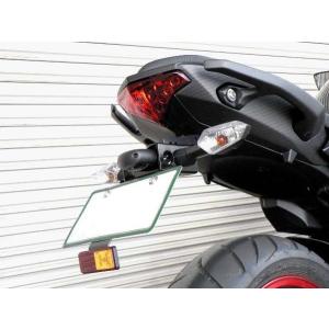 ACTIVE Kawasaki Ninja250/Ninja400/Z250/Z400 フェンダーレスキット