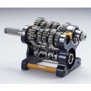 babyface（ベビーフェイス） リンクプレート カラー：ゴールド