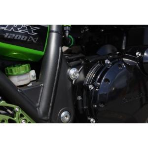 COERCE（コワース） RSリアフェンダー タイプ：カーボン ZRX1200ダエグ