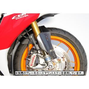 TSR テクニカルスポーツレーシング カーボンフロントフェンダー GP