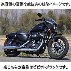 TXF290613 ビキニカウルキット スポーツスター ダイナ WMW : HD-PARTS