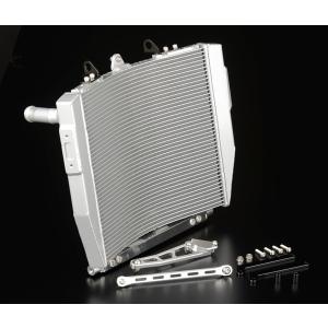 ZRX1200（01〜08年） ビッグラジエーターキット ブラック ACTIVE