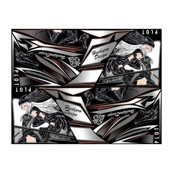 PLOT プロト デカールキット ヴァルキリー カラー：ブラック Ninja250 [ニンジャ250...
