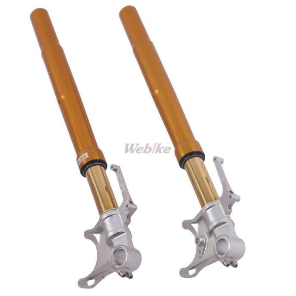 OHLINS オーリンズ 倒立フロントフォーク FG R&amp;T 200 ニンジャ H2 KAWASAK...